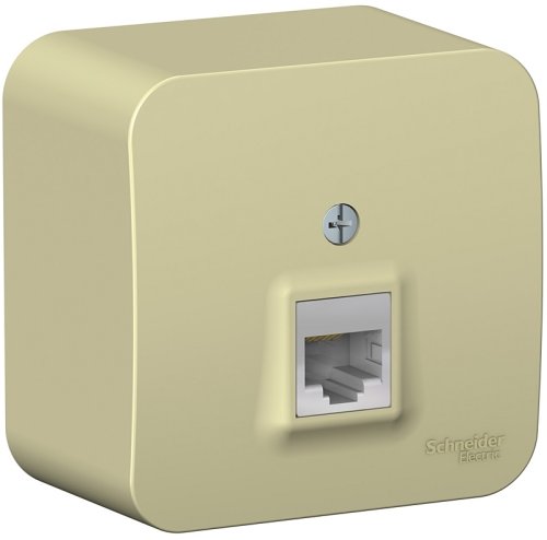 Розетка компьютерная накладная Systeme Electric Blanca 1-м. RJ45 5e бежевый фото Розетка компьютерная накладная Systeme Electric Blanca 1-м. RJ45 5e бежевый картинка